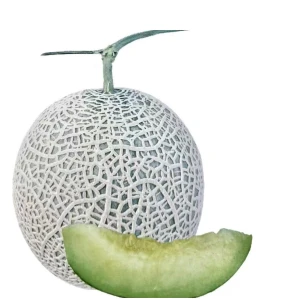 Melón Hami Híbrido De Maduración Media ME-188